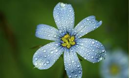 十二生肖2021年运势完整版