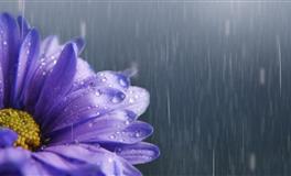 苏珊米勒每日运势2021年1月23-24日