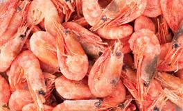 苏珊米勒每日运势2021年3月31日