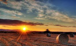 苏珊米勒每日运势2021年4月3-4日