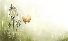 苏珊米勒一周星座运势（5.17-5.23）