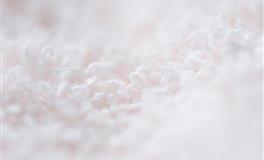 天生颜值控，最爱帅哥的星座女