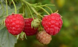 恋爱匹配度高，过日子需要考虑的星座组合