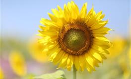 见义勇为，面对歹徒绝不退缩的星座男