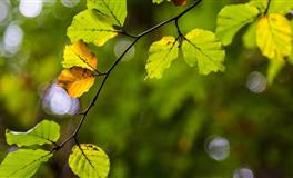 苏珊米勒每日运势2021年6月24日