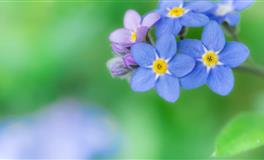 判答2021年7月星座运势