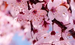 苏珊米勒每日运势2021年6月7日