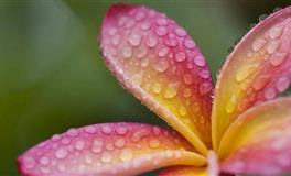 暴风吸金，2021下半年收入高的星座