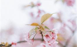 苏珊米勒每日运势2021年8月21-22日