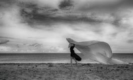 滴天居士生肖狗一周运势（8月29日—9月4日）