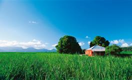 月老牵线！七夕后【桃花爆棚】星座大点名