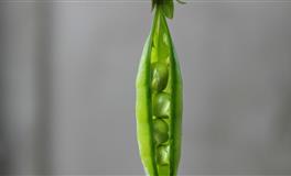 李云天双子座一周运势9.20-9.26