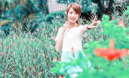 2024年是什么生肖年,2024年属什么生肖