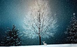 App魔羯座每周运程9.20-9.26