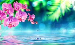 婚后，双鱼座最易遭遇的“婚姻难题”