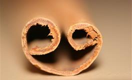 金火失势！天秤座如何摆脱烦闷