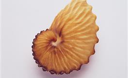 杀破狼水瓶座一周运势 2021.9.27-10.3