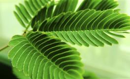 Alex双子座一周运势（9.6—9.12）