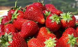 杀破狼白羊座一周运势 2021.9.27-10.3