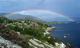 竹猫星球金牛座一周塔罗运势9.20-9.26