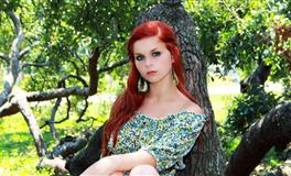 董易林生肖猪2022壬寅虎年十二月运程