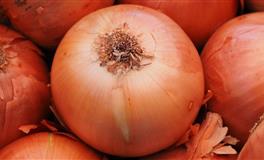 傅子绮白羊座2021年10月运势