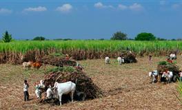 白羊座喜欢的两人关系是怎样的呢？