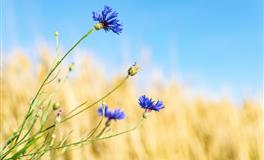 郑博士2021年10月17日生肖运势