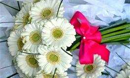 娜迪亚2022年星座运势