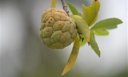 双子座2021下半年感情运