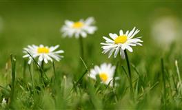 董易林生肖猴2021年10月运势