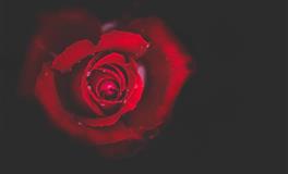 Pandora占星小巫双子座一周运势（10.29-11.4）