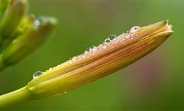 董易林生肖猪2022壬寅虎年事业运