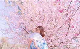 运势君双鱼座一周运势（11.15-11.21 ）