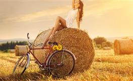 静电鱼射手座每周运势（11.15-11.21）