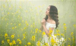 郑博士2020年12月十二生肖桃花运