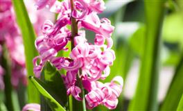 白羊男对女朋友和女生朋友的区别