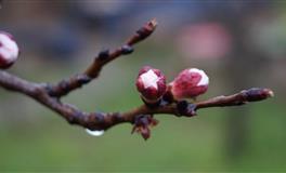 2021年底脱单这几大生肖需要多主动