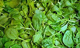 静电鱼天蝎座每周运势（11.8-11.14）