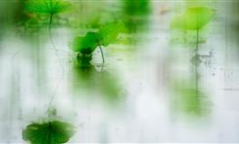 Alex双子座一周运势（11.8-11.14）