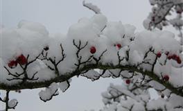 娜迪亚金牛座本周运势（11.22-11.28）