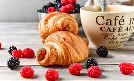 能力配得上野心的星座，公认的实力派！