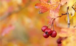 长得美却不自知的三大星座，这其中有没有你？