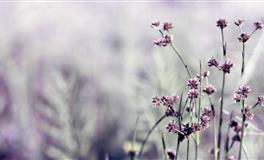 吵架永远赢不了的星座，总是一次次容忍，不懂反驳