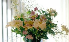 不愿将就，情场里最无法“驾驭”的星座，一般人看不上眼