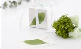 12星座被爱人欺骗几率有多高？