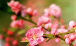 聪明过人，最不好糊弄的3个星座，不容易吃亏