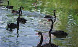 外表单纯，实则心眼极多的三大星座，和他们玩心机，纯属找虐！