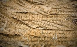 天生美人胚子，气质优雅，最养眼，最绝代风华的三大星座女