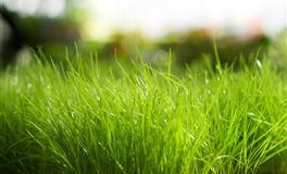 竹猫星球双鱼座一周塔罗运势（11.22-11.28）